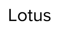 Ремонт стиральных машин Lotus в Бронницах